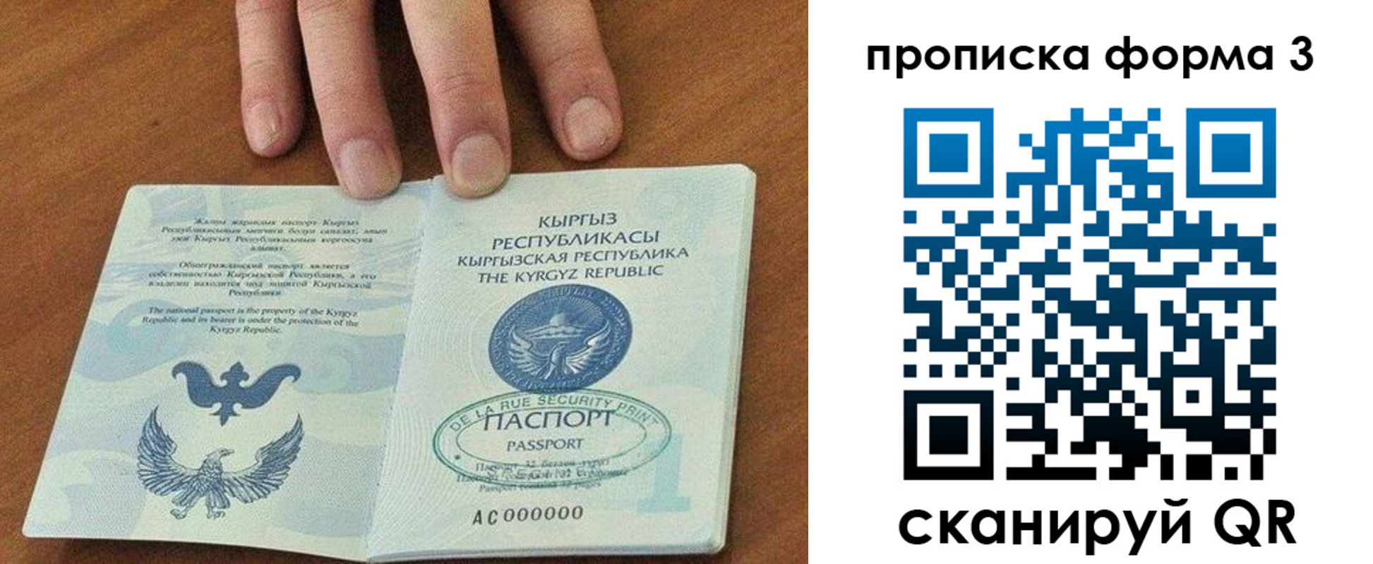 прописка 2025 в Мамадыше